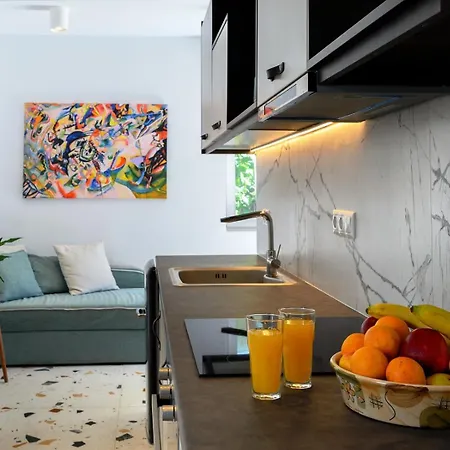 Blue Sky House Lägenhetshotell Pylos